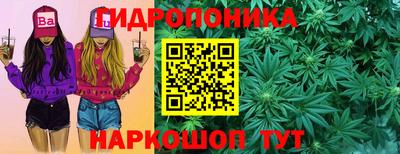 индика Новокубанск