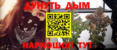 амф Новозыбков