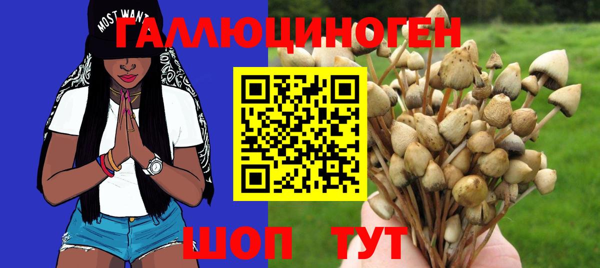 Псилоцибиновые грибы мицелий Павловский Посад